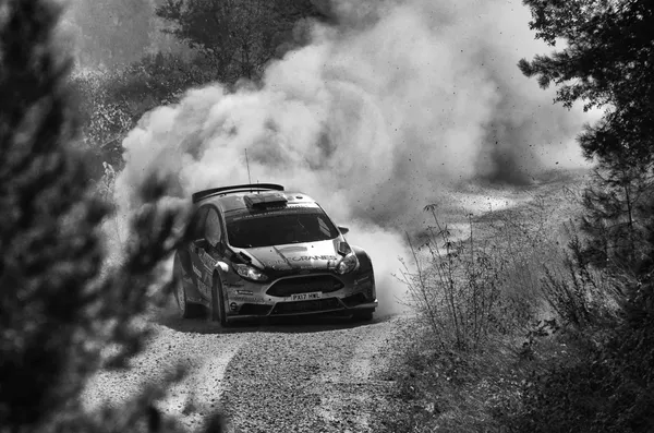 Action- und Sportfotografie