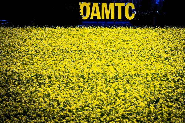 ÖAMTC-Schild über gelbem Blumenfeld