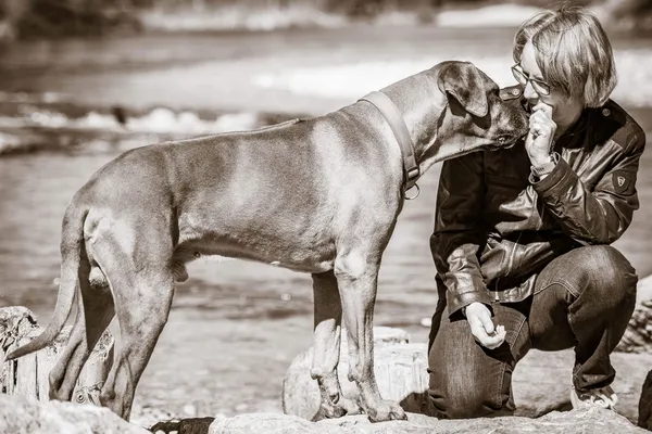 Tierfotografie